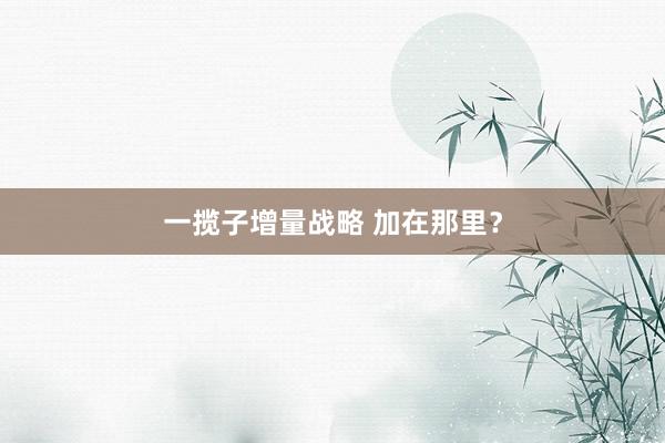 一揽子增量战略 加在那里？