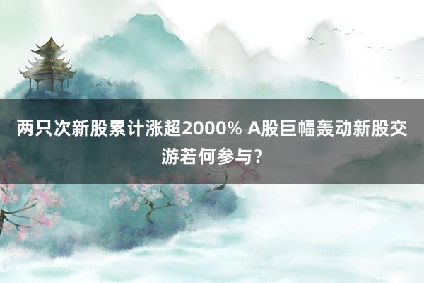 两只次新股累计涨超2000% A股巨幅轰动新股交游若何参与？