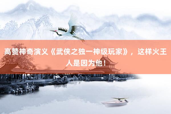 高赞神奇演义《武侠之独一神级玩家》，这样火王人是因为他！