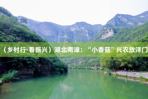 （乡村行·看振兴）湖北南漳：“小香菇”兴农放洋门