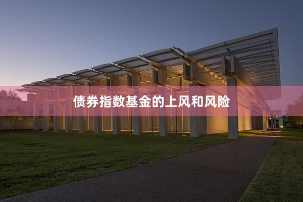 债券指数基金的上风和风险