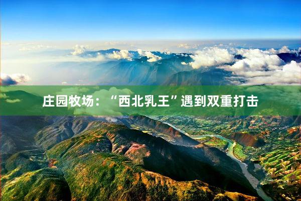 庄园牧场：“西北乳王”遇到双重打击