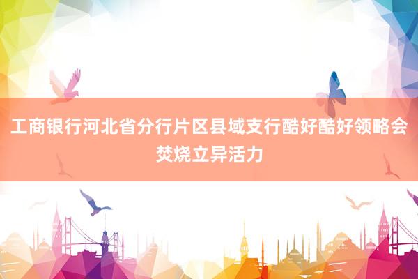 工商银行河北省分行片区县域支行酷好酷好领略会焚烧立异活力