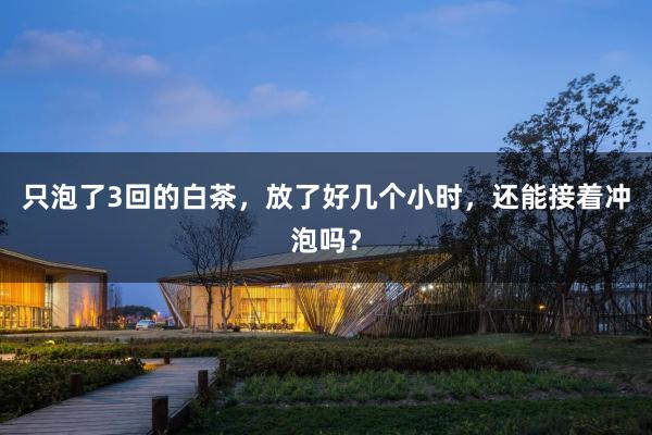 只泡了3回的白茶，放了好几个小时，还能接着冲泡吗？