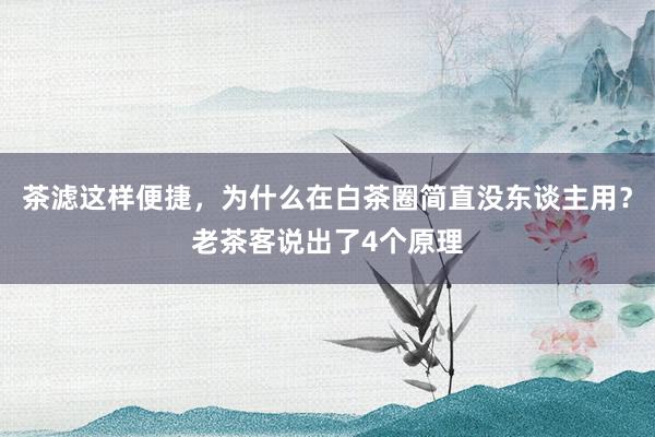 茶滤这样便捷，为什么在白茶圈简直没东谈主用？老茶客说出了4个原理