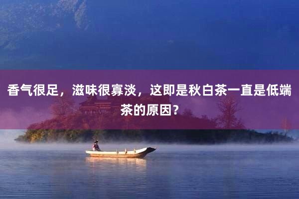 香气很足，滋味很寡淡，这即是秋白茶一直是低端茶的原因？