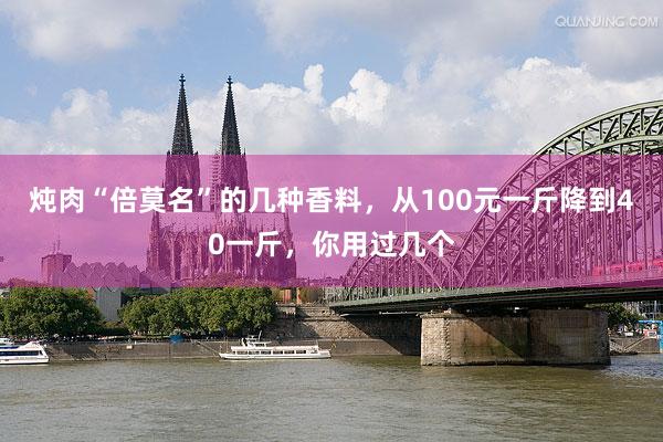 炖肉“倍莫名”的几种香料，从100元一斤降到40一斤，你用过几个