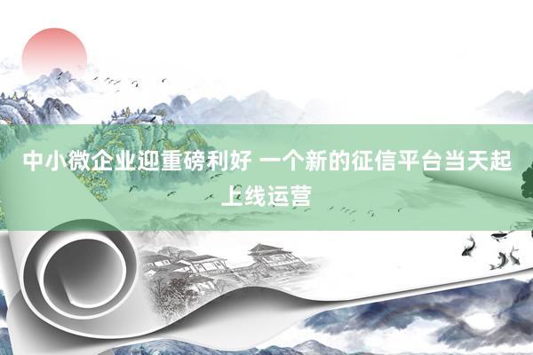 中小微企业迎重磅利好 一个新的征信平台当天起上线运营