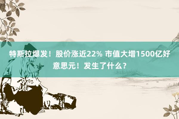 特斯拉爆发！股价涨近22% 市值大增1500亿好意思元！发生了什么？