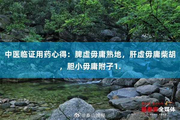 中医临证用药心得:脾虚毋庸熟地,肝虚毋庸柴胡,胆小毋庸附子1.