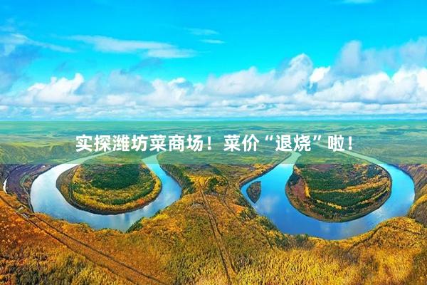 实探潍坊菜商场！菜价“退烧”啦！