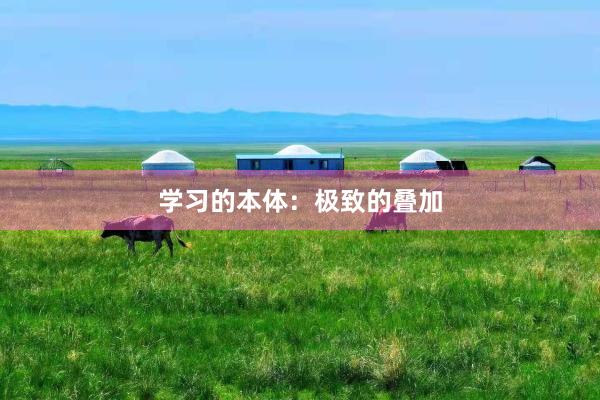 学习的本体：极致的叠加