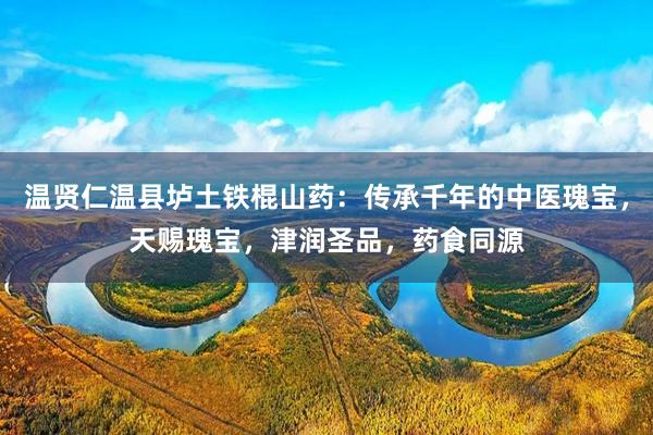 温贤仁温县垆土铁棍山药：传承千年的中医瑰宝，天赐瑰宝，津润圣品，药食同源