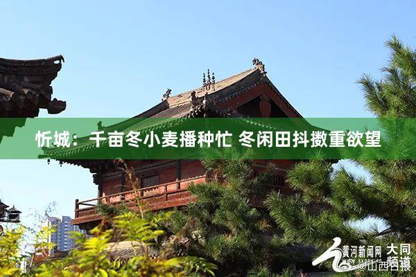 忻城：千亩冬小麦播种忙 冬闲田抖擞重欲望