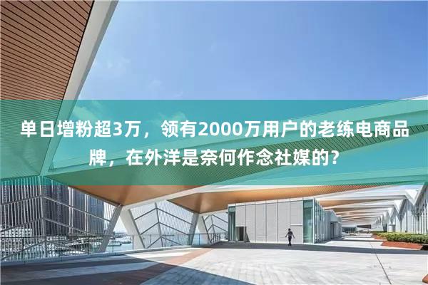 单日增粉超3万，领有2000万用户的老练电商品牌，在外洋是奈何作念社媒的？