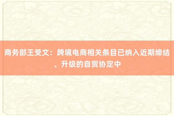 商务部王受文：跨境电商相关条目已纳入近期缔结、升级的自贸协定中