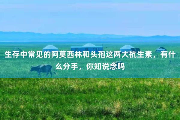 生存中常见的阿莫西林和头孢这两大抗生素，有什么分手，你知说念吗