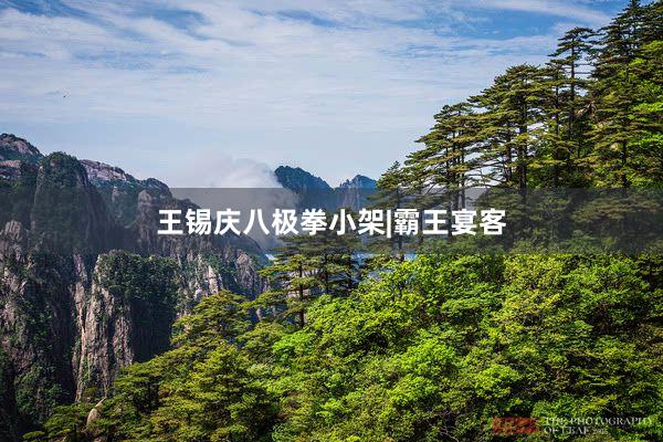 王锡庆八极拳小架|霸王宴客